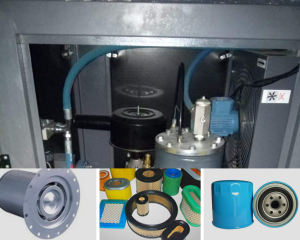 20190428_144118_0000-1024x819-3-300x240-1 HOME